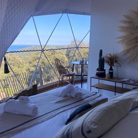 Domaine De Sonia - Logements Eco-Insolites ポルトヴェッキオ エクステリア 写真